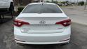2016 WHITE /BLACK Hyundai Sonata Sport (5NPE34AF9GH) with an 2.4L L4 DOHC 16V engine, 6A transmission, located at 2710A Westlane Rd., Indianapolis, IN, 46268, (317) 291-2000, 39.885670, -86.208160 - Photo#3
