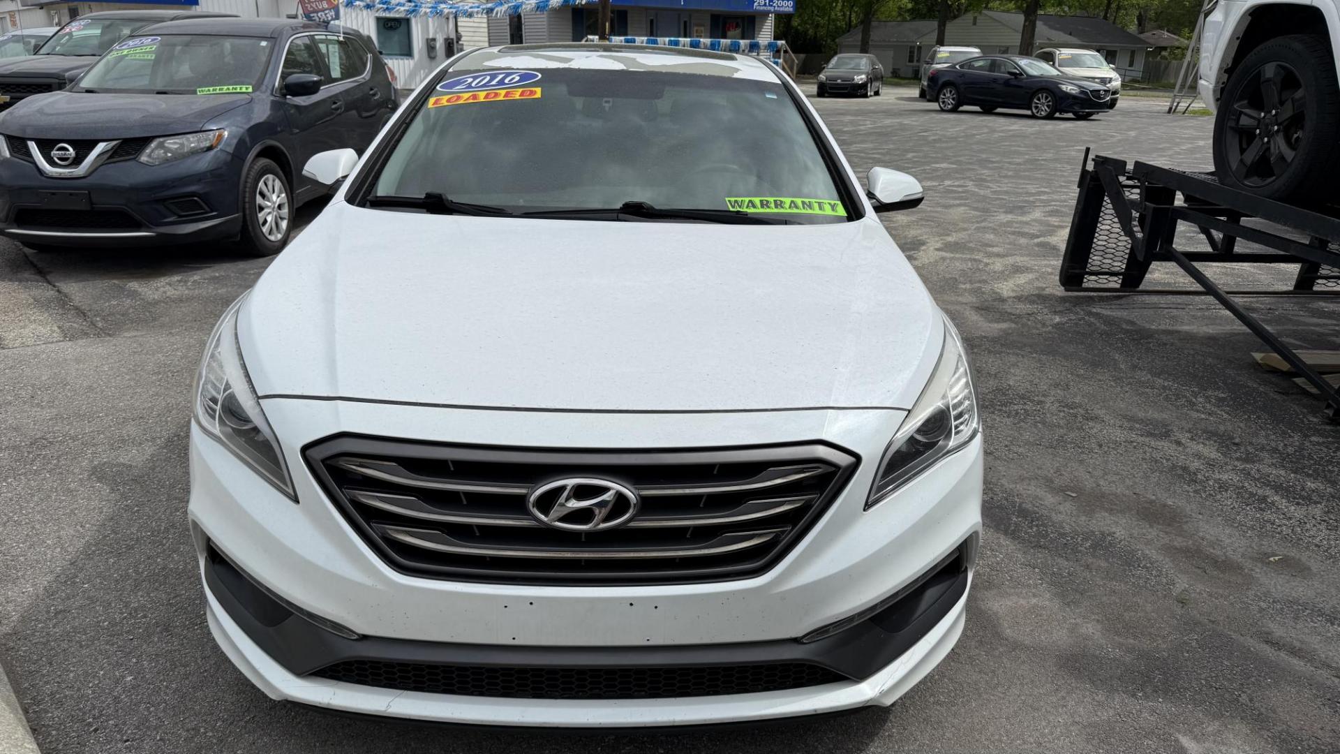 2016 WHITE /BLACK Hyundai Sonata Sport (5NPE34AF9GH) with an 2.4L L4 DOHC 16V engine, 6A transmission, located at 2710A Westlane Rd., Indianapolis, IN, 46268, (317) 291-2000, 39.885670, -86.208160 - Photo#2