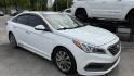 2016 WHITE /BLACK Hyundai Sonata Sport (5NPE34AF9GH) with an 2.4L L4 DOHC 16V engine, 6A transmission, located at 2710A Westlane Rd., Indianapolis, IN, 46268, (317) 291-2000, 39.885670, -86.208160 - Photo#1